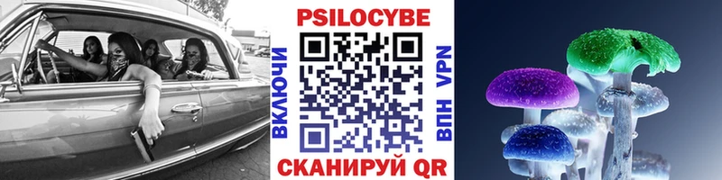 Псилоцибиновые грибы Cubensis Ковылкино